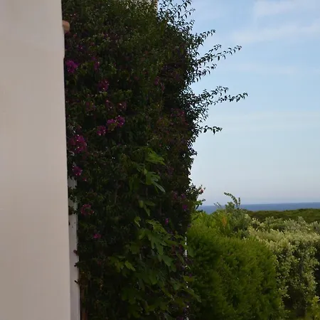 Residence Le Vele Di Pedrami アパートホテル *