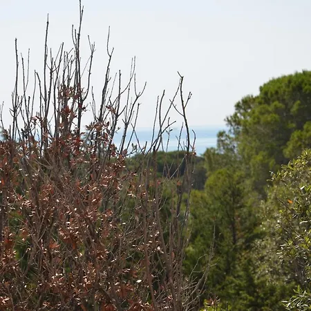 Residence Le Vele Di Pedrami